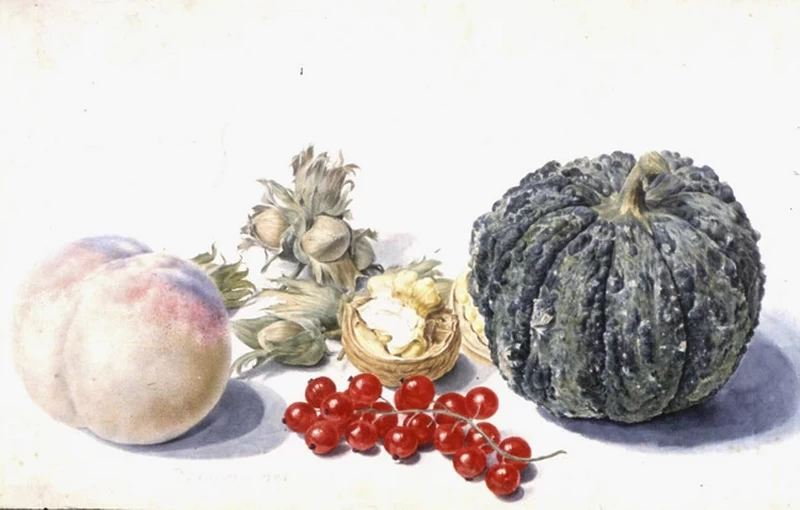 Natura morta di frutta